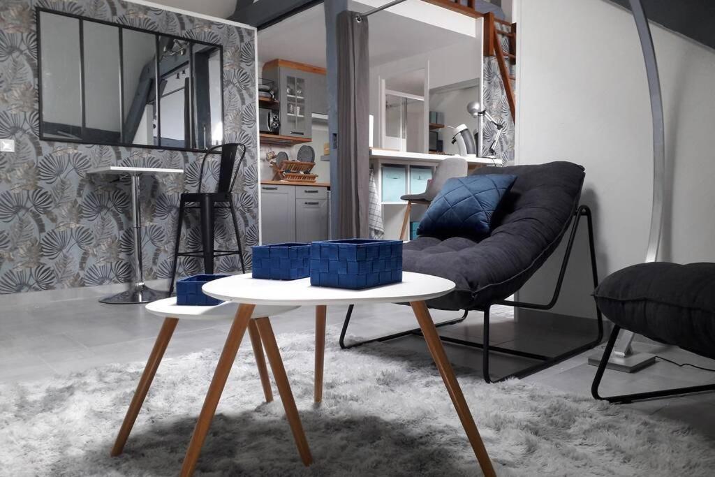 Loft Haut De Gamme Centre Montargis, Place De Parking, Local A Velos, Linge De Lits Et Serviettes, Coin Riviere Amenage, Hamac, Epicerie, Velos En Option, Tout Confort Jusqu'A 4 Voyageurs Eksteriør bilde