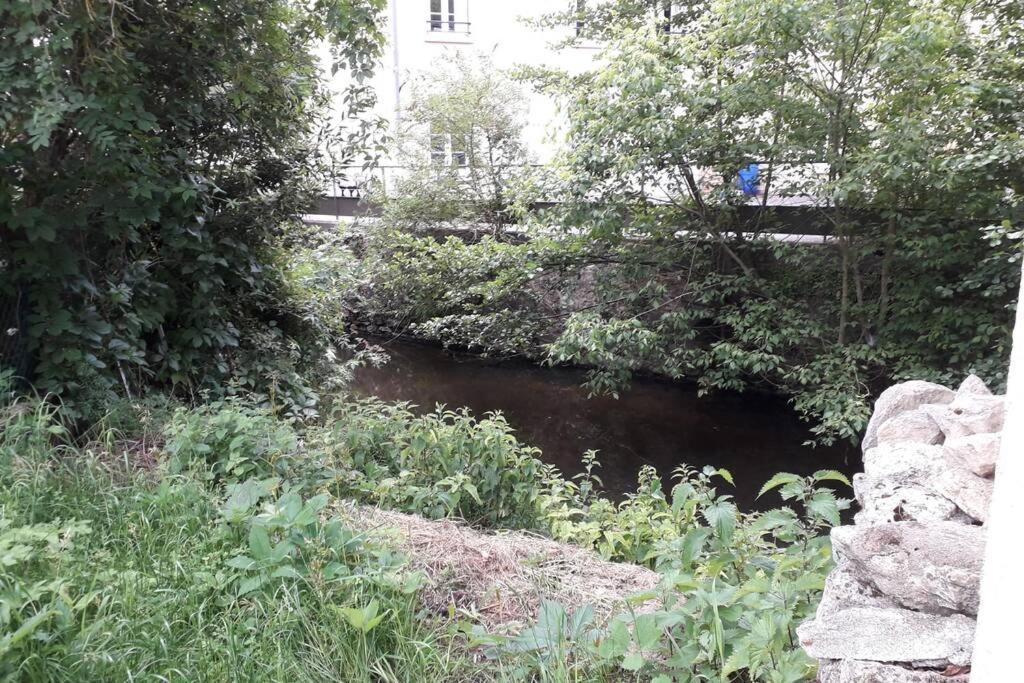 Loft Haut De Gamme Centre Montargis, Place De Parking, Local A Velos, Linge De Lits Et Serviettes, Coin Riviere Amenage, Hamac, Epicerie, Velos En Option, Tout Confort Jusqu'A 4 Voyageurs Eksteriør bilde