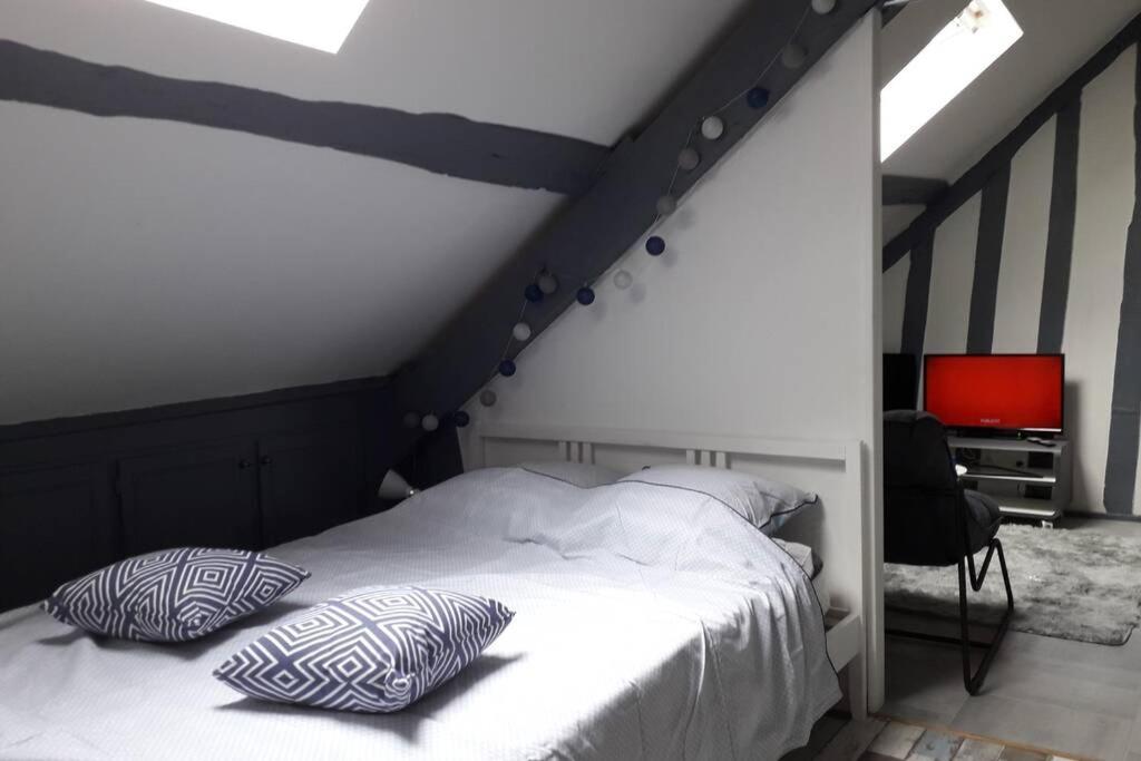 Loft Haut De Gamme Centre Montargis, Place De Parking, Local A Velos, Linge De Lits Et Serviettes, Coin Riviere Amenage, Hamac, Epicerie, Velos En Option, Tout Confort Jusqu'A 4 Voyageurs Eksteriør bilde