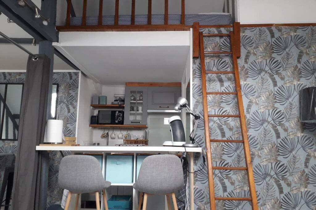 Loft Haut De Gamme Centre Montargis, Place De Parking, Local A Velos, Linge De Lits Et Serviettes, Coin Riviere Amenage, Hamac, Epicerie, Velos En Option, Tout Confort Jusqu'A 4 Voyageurs Eksteriør bilde