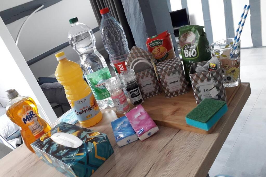 Loft Haut De Gamme Centre Montargis, Place De Parking, Local A Velos, Linge De Lits Et Serviettes, Coin Riviere Amenage, Hamac, Epicerie, Velos En Option, Tout Confort Jusqu'A 4 Voyageurs Eksteriør bilde
