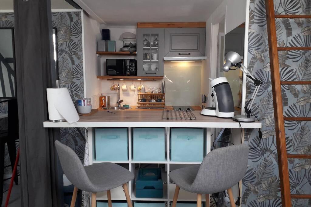 Loft Haut De Gamme Centre Montargis, Place De Parking, Local A Velos, Linge De Lits Et Serviettes, Coin Riviere Amenage, Hamac, Epicerie, Velos En Option, Tout Confort Jusqu'A 4 Voyageurs Eksteriør bilde
