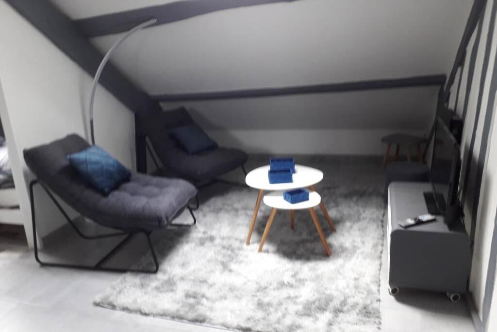 Loft Haut De Gamme Centre Montargis, Place De Parking, Local A Velos, Linge De Lits Et Serviettes, Coin Riviere Amenage, Hamac, Epicerie, Velos En Option, Tout Confort Jusqu'A 4 Voyageurs Eksteriør bilde