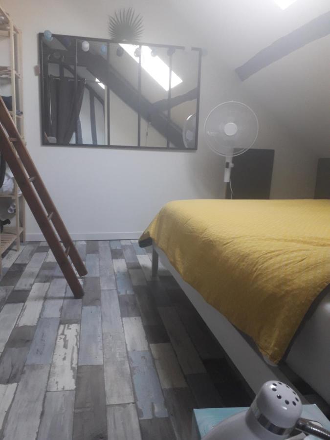Loft Haut De Gamme Centre Montargis, Place De Parking, Local A Velos, Linge De Lits Et Serviettes, Coin Riviere Amenage, Hamac, Epicerie, Velos En Option, Tout Confort Jusqu'A 4 Voyageurs Eksteriør bilde