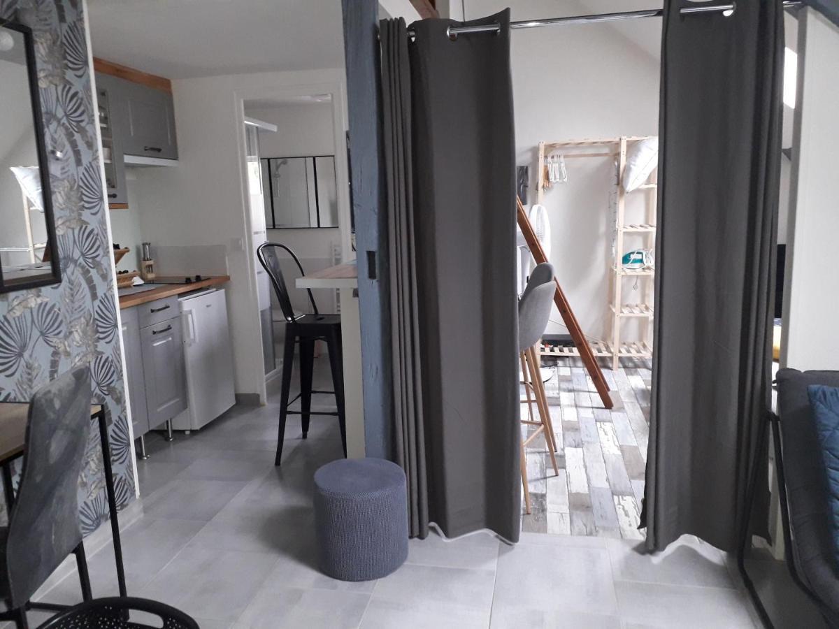 Loft Haut De Gamme Centre Montargis, Place De Parking, Local A Velos, Linge De Lits Et Serviettes, Coin Riviere Amenage, Hamac, Epicerie, Velos En Option, Tout Confort Jusqu'A 4 Voyageurs Eksteriør bilde
