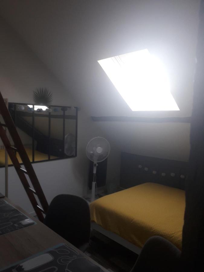 Loft Haut De Gamme Centre Montargis, Place De Parking, Local A Velos, Linge De Lits Et Serviettes, Coin Riviere Amenage, Hamac, Epicerie, Velos En Option, Tout Confort Jusqu'A 4 Voyageurs Eksteriør bilde
