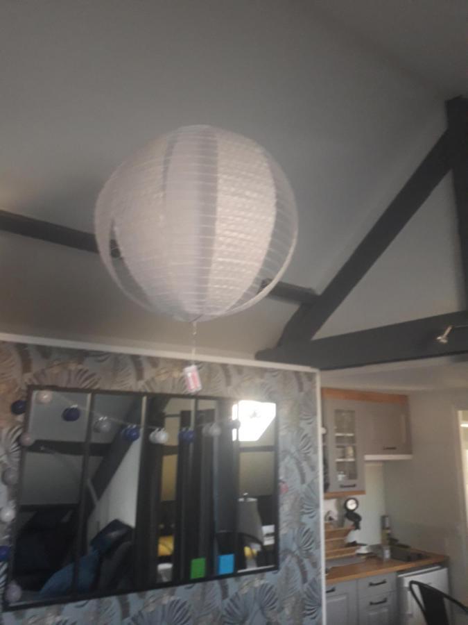 Loft Haut De Gamme Centre Montargis, Place De Parking, Local A Velos, Linge De Lits Et Serviettes, Coin Riviere Amenage, Hamac, Epicerie, Velos En Option, Tout Confort Jusqu'A 4 Voyageurs Eksteriør bilde