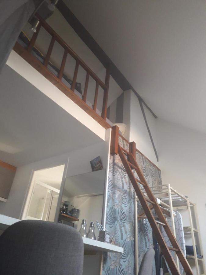 Loft Haut De Gamme Centre Montargis, Place De Parking, Local A Velos, Linge De Lits Et Serviettes, Coin Riviere Amenage, Hamac, Epicerie, Velos En Option, Tout Confort Jusqu'A 4 Voyageurs Eksteriør bilde