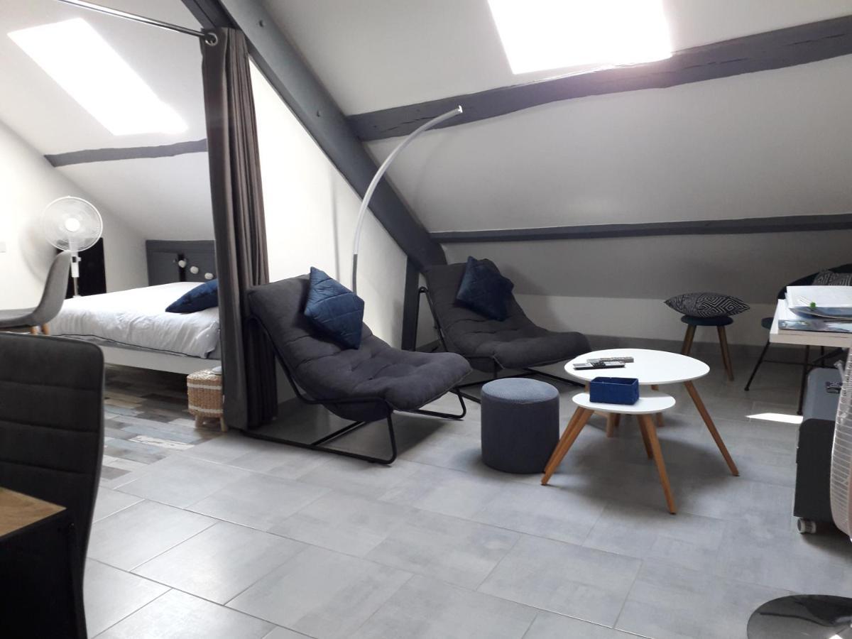 Loft Haut De Gamme Centre Montargis, Place De Parking, Local A Velos, Linge De Lits Et Serviettes, Coin Riviere Amenage, Hamac, Epicerie, Velos En Option, Tout Confort Jusqu'A 4 Voyageurs Eksteriør bilde