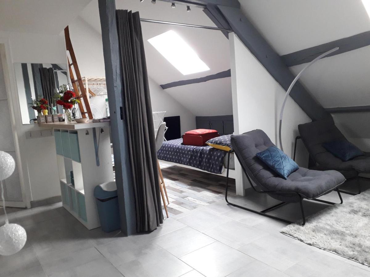 Loft Haut De Gamme Centre Montargis, Place De Parking, Local A Velos, Linge De Lits Et Serviettes, Coin Riviere Amenage, Hamac, Epicerie, Velos En Option, Tout Confort Jusqu'A 4 Voyageurs Eksteriør bilde