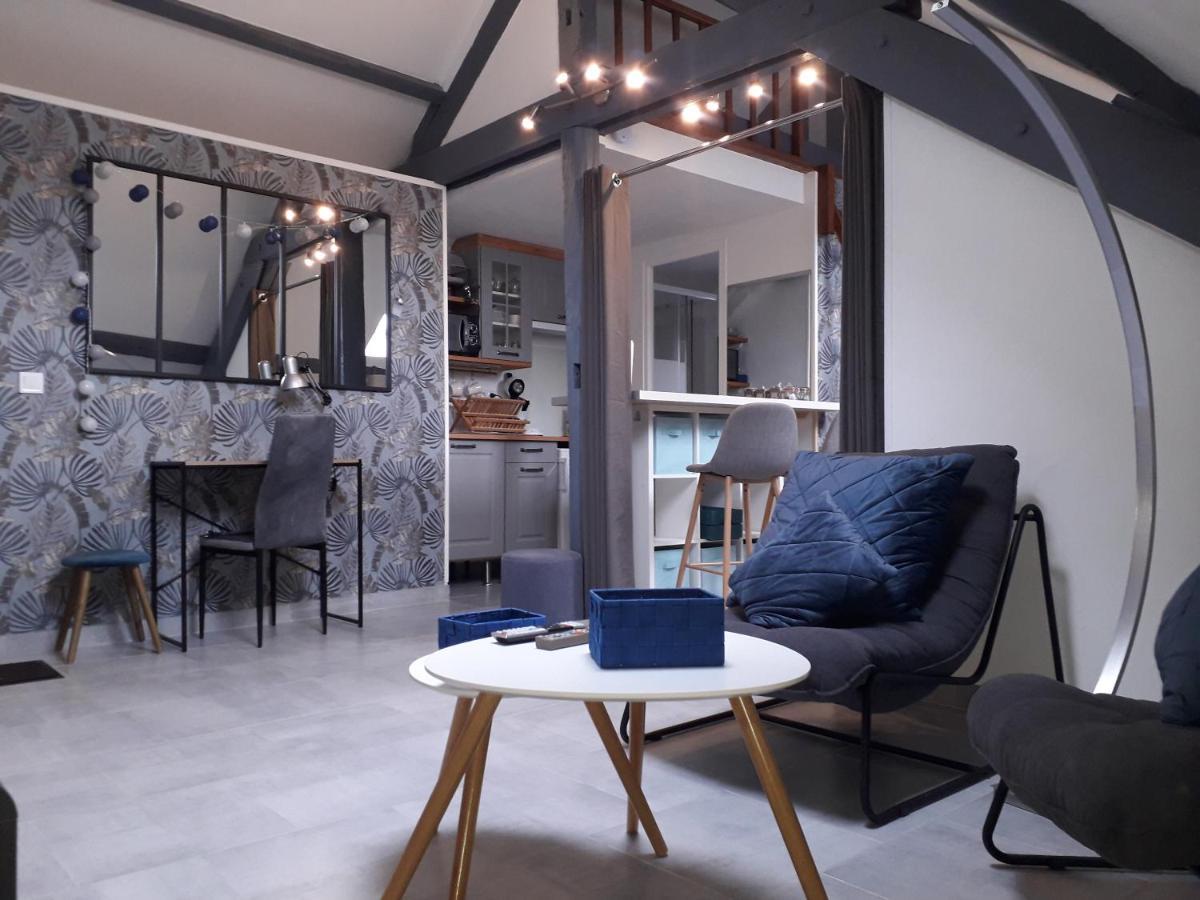 Loft Haut De Gamme Centre Montargis, Place De Parking, Local A Velos, Linge De Lits Et Serviettes, Coin Riviere Amenage, Hamac, Epicerie, Velos En Option, Tout Confort Jusqu'A 4 Voyageurs Eksteriør bilde